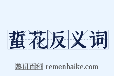 蜇花反义词是什么意思的图片